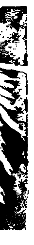Engel